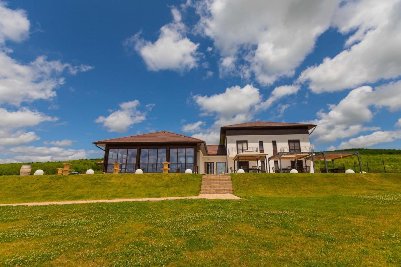 Crama Jelna Resort & Spa Orheiu Bistriţei エクステリア 写真