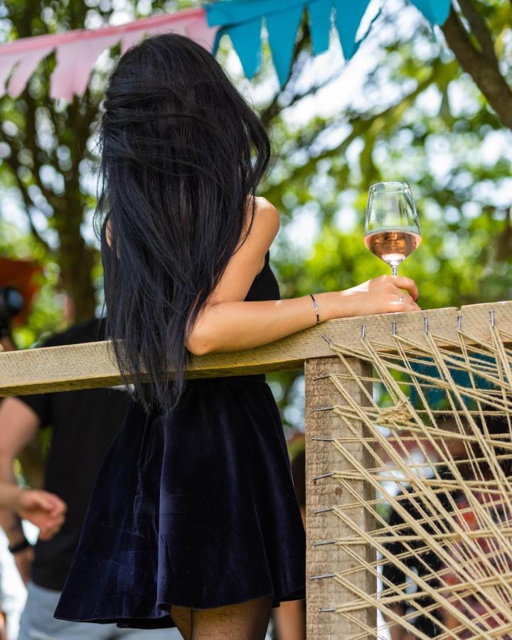Crama Jelna Resort & Spa Orheiu Bistriţei エクステリア 写真